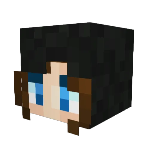 acegamer1111 Minecraft avatar head, 3D render