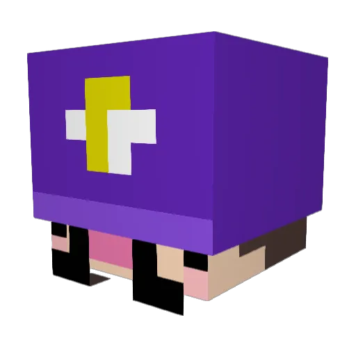 acegod19 Minecraft avatar head, 3D render