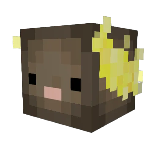 aceguts Minecraft avatar head, 3D render