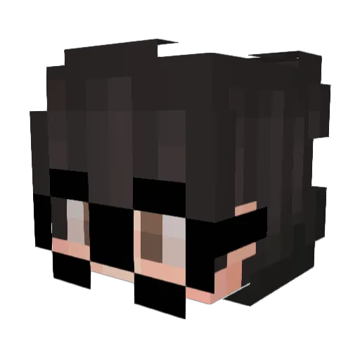 aceitou Minecraft avatar head, 3D render