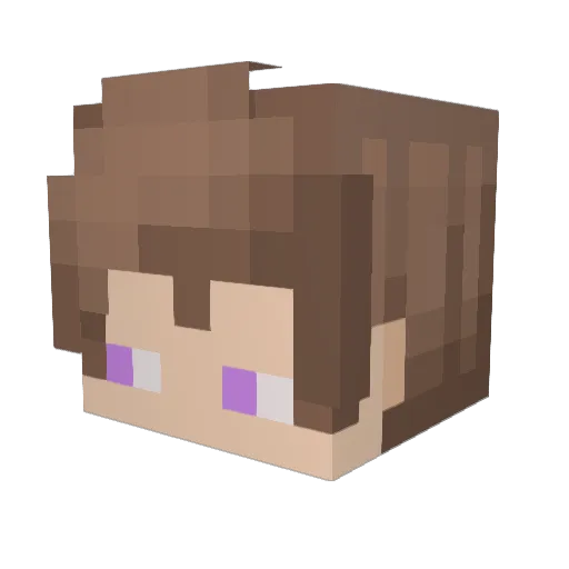 aces_1351 Minecraft avatar head, 3D render