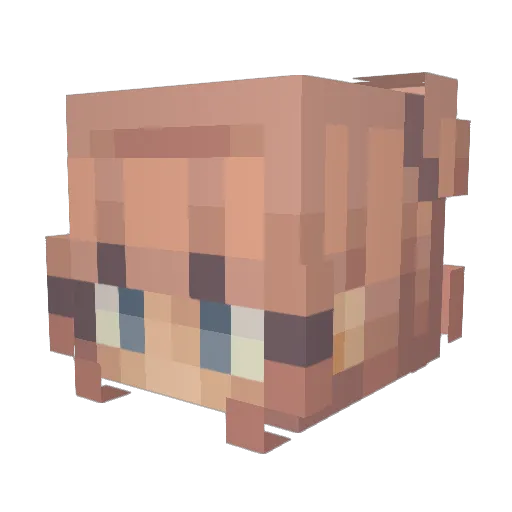 acesgoodsoup Minecraft avatar head, 3D render