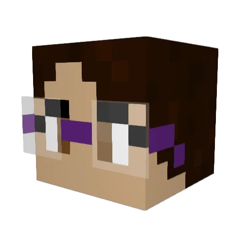 acethenerd Minecraft avatar head, 3D render