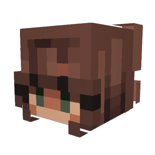 acetronomically Minecraft avatar head, 3D render