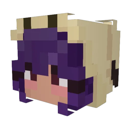 aceupyoursleeve Minecraft avatar head, 3D render