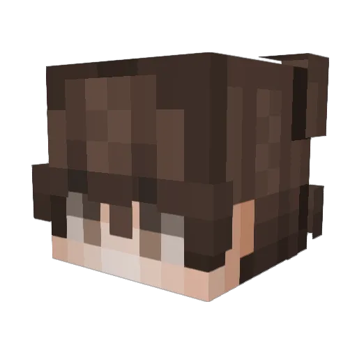 aceywacyx Minecraft avatar head, 3D render