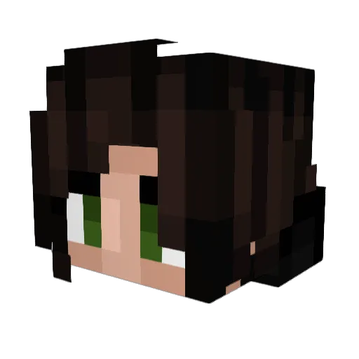 achesinhache Minecraft avatar head, 3D render