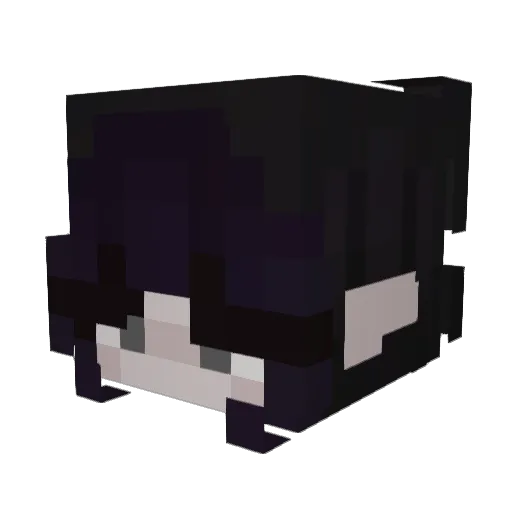 achlys00_ Minecraft avatar head, 3D render