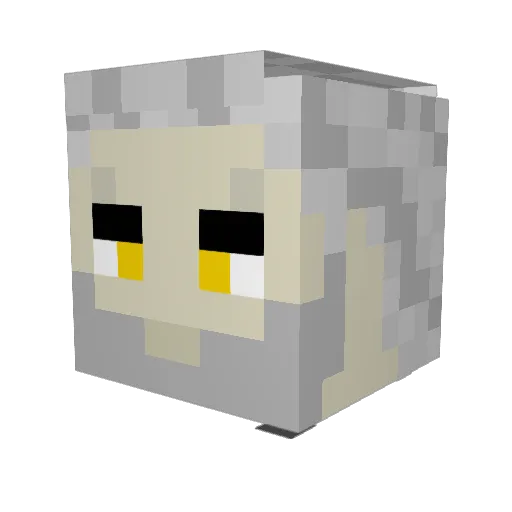 achxhxn Minecraft avatar head, 3D render