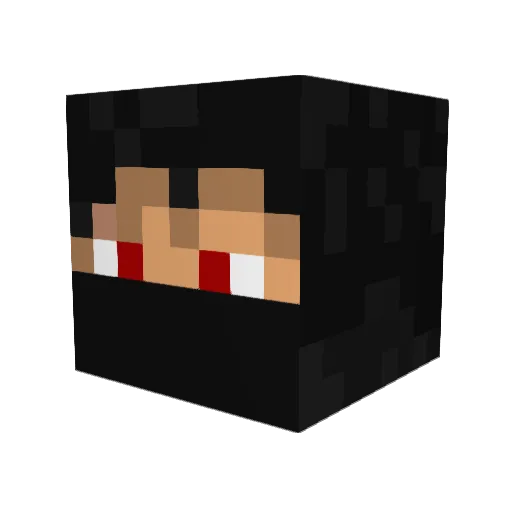 acid_wolfpack29 Minecraft avatar head, 3D render