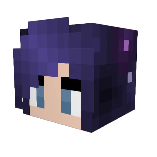 acidanimal Minecraft avatar head, 3D render