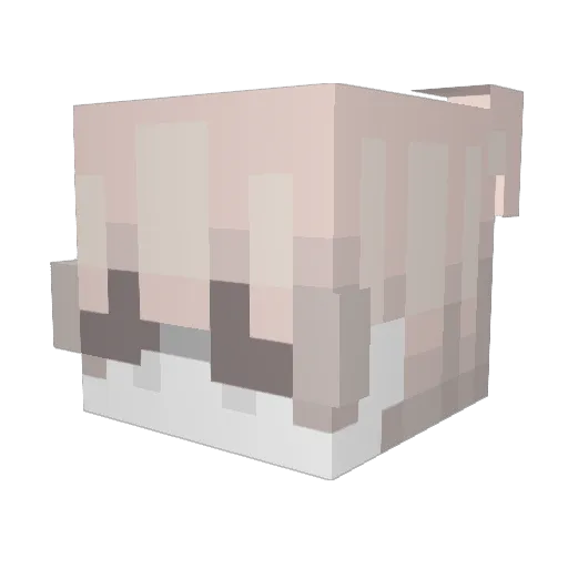 acidblud Minecraft avatar head, 3D render
