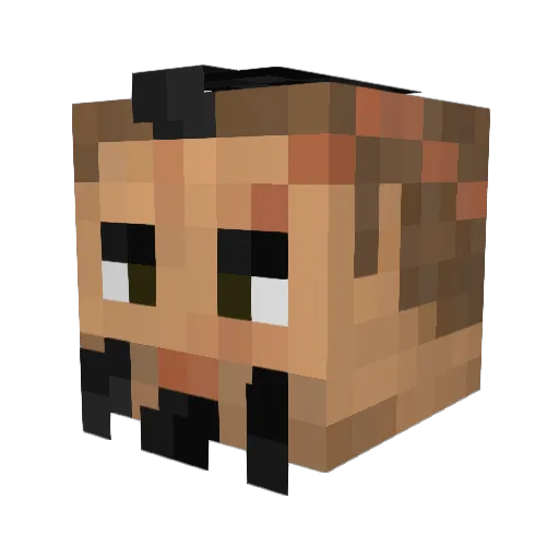 acidbrah Minecraft avatar head, 3D render