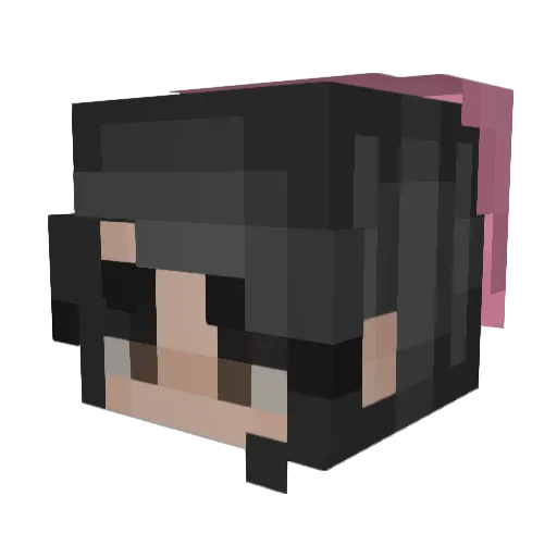 acidchipmunk Minecraft avatar head, 3D render