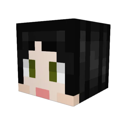 acidfd Minecraft avatar head, 3D render