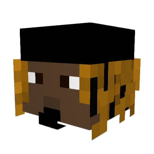 acidicallity Minecraft avatar head, 3D render
