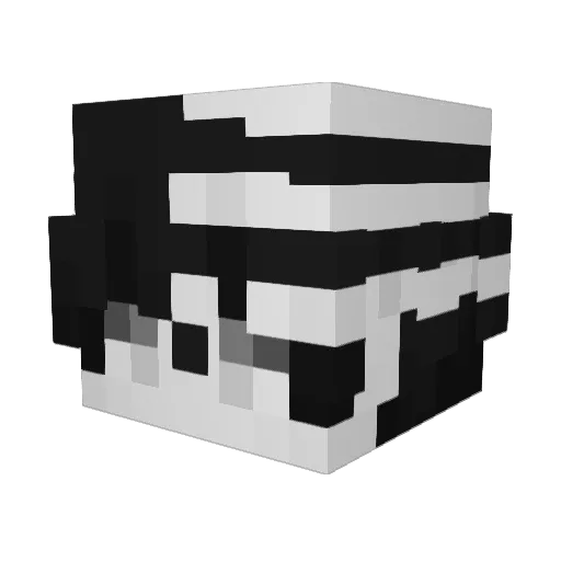 acidpan Minecraft avatar head, 3D render
