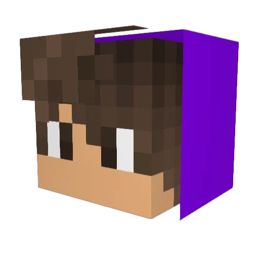 acidprince Minecraft avatar head, 3D render