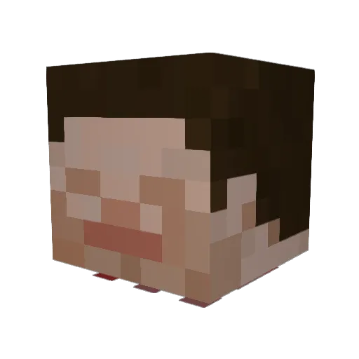 acidpuddle Minecraft avatar head, 3D render
