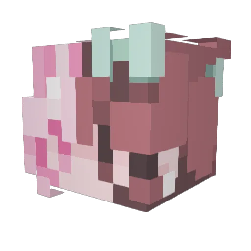 acidrainval Minecraft avatar head, 3D render