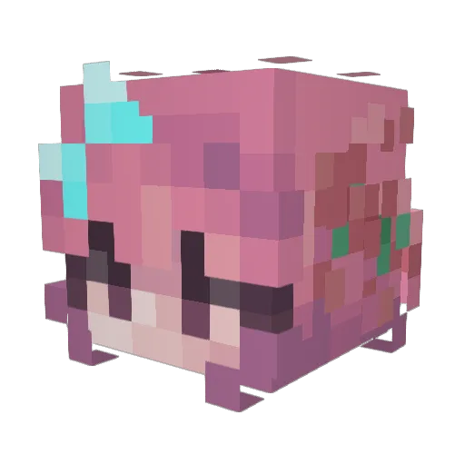 acidsquirrel Minecraft avatar head, 3D render