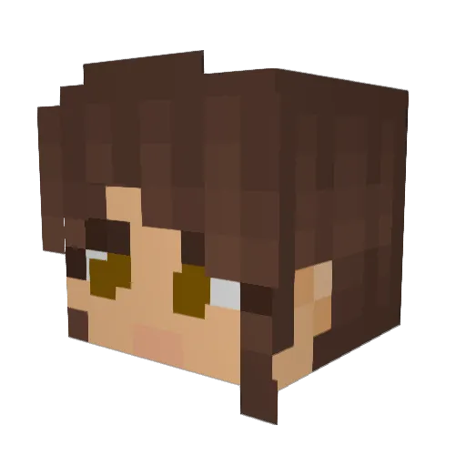 aciegames Minecraft avatar head, 3D render