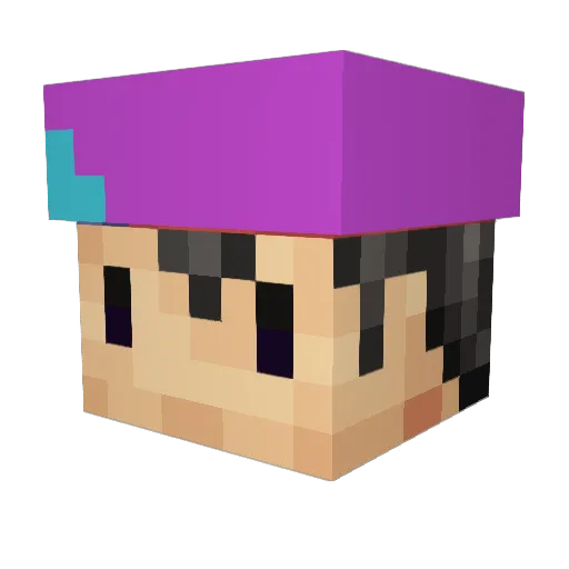 aclockworkonion Minecraft avatar head, 3D render