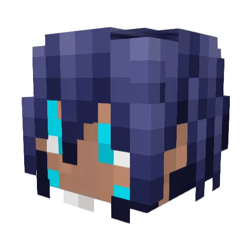 acne339 Minecraft avatar head, 3D render