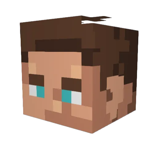 acned Minecraft avatar head, 3D render