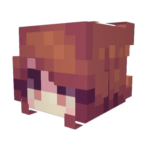 acnisa Minecraft avatar head, 3D render