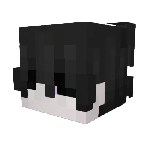 acooi Minecraft avatar head, 3D render