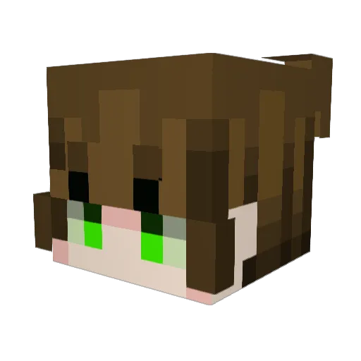 acoolbro1 Minecraft avatar head, 3D render