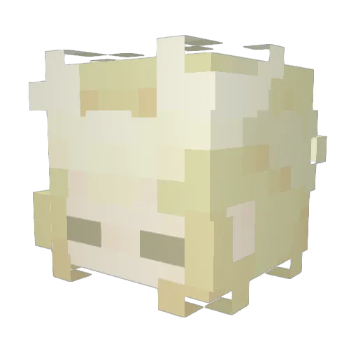 acooldudee Minecraft avatar head, 3D render