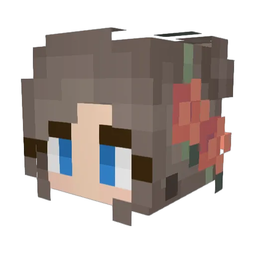 acorn22_ Minecraft avatar head, 3D render