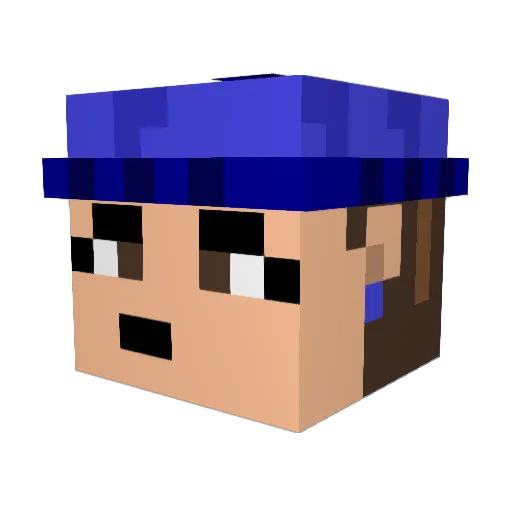 acrocat Minecraft avatar head, 3D render
