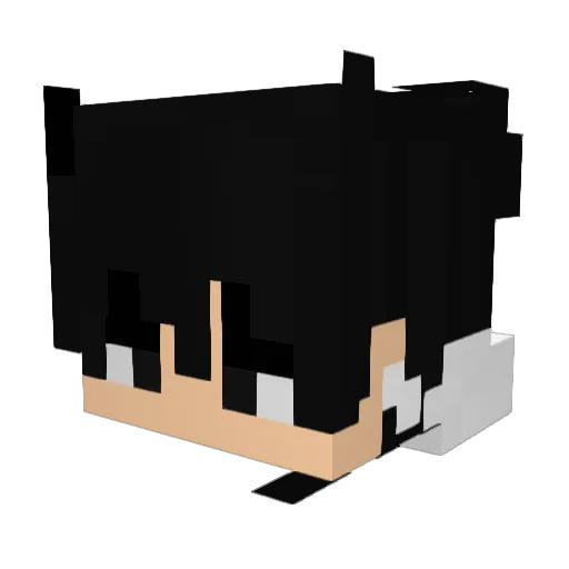 acruces Minecraft avatar head, 3D render