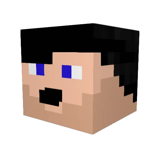 activ_P_nes Minecraft avatar head, 3D render