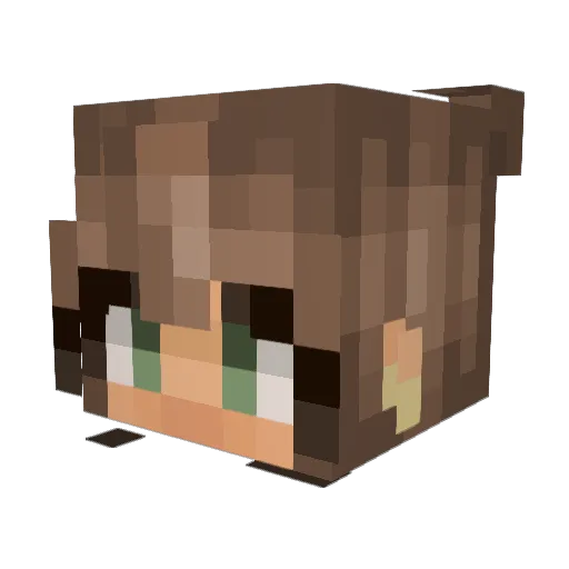 actonf Minecraft avatar head, 3D render