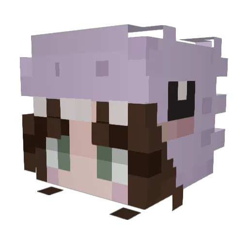 actuallyselfish Minecraft avatar head, 3D render