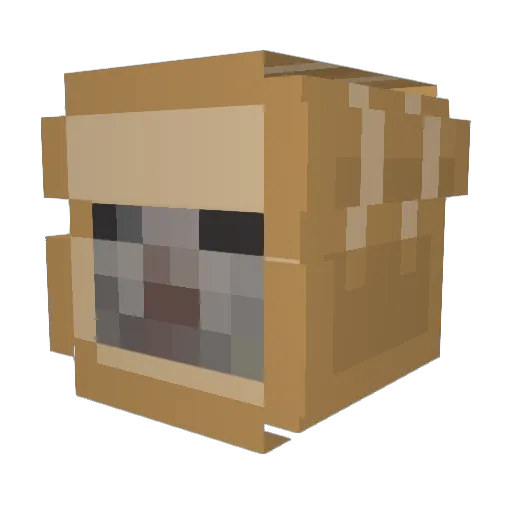actuallysunni Minecraft avatar head, 3D render
