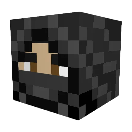 acuario7 Minecraft avatar head, 3D render