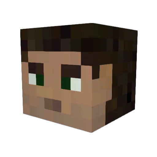 acuaticyas Minecraft avatar head, 3D render