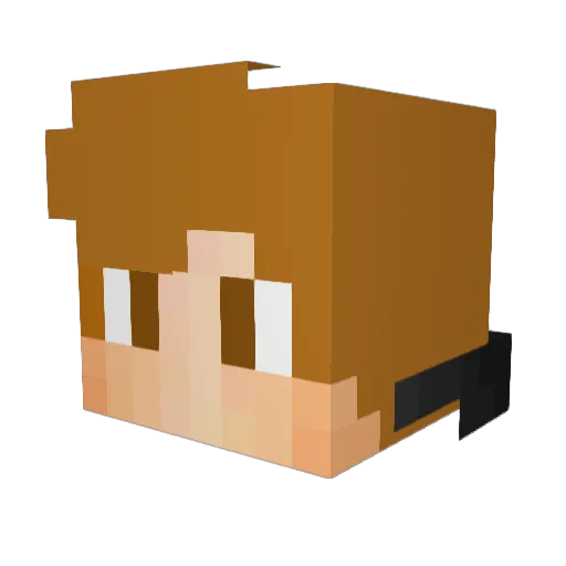 acute_angle6460 Minecraft avatar head, 3D render