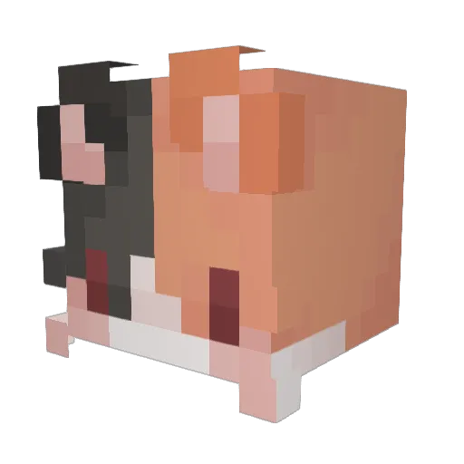 acvhi Minecraft avatar head, 3D render