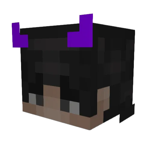 acyisswag Minecraft avatar head, 3D render