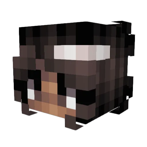 acyueal Minecraft avatar head, 3D render