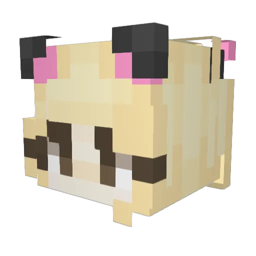 adSIKoo Minecraft avatar head, 3D render