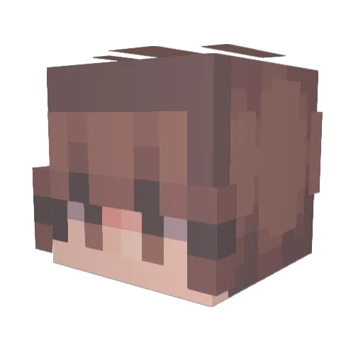 ad_vibin Minecraft avatar head, 3D render