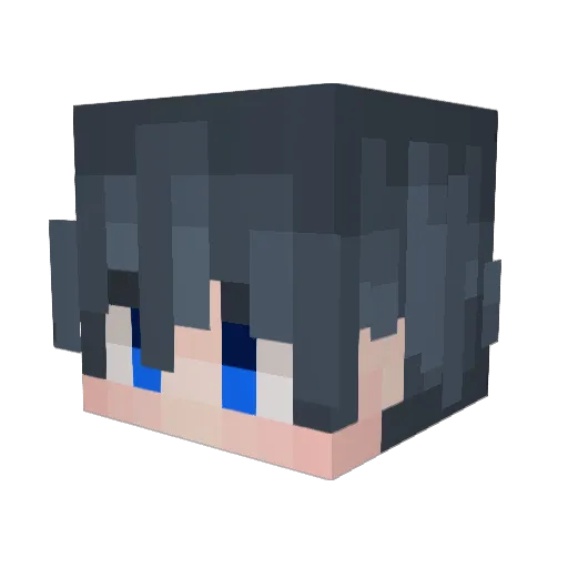 adaaaaaaaaaaaaaa Minecraft avatar head, 3D render