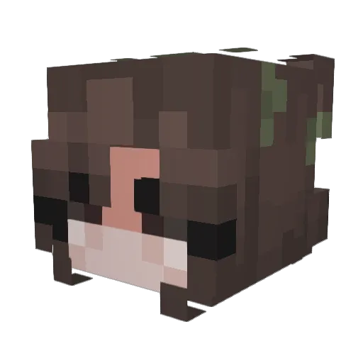 adah2004 Minecraft avatar head, 3D render